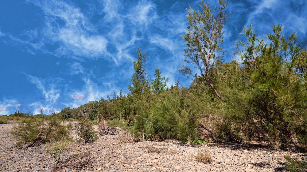 A Desert Landscape With Trees And Bushes In The Foreground — PalmAir Heating & Cooling Specialists In Tumut, NSW