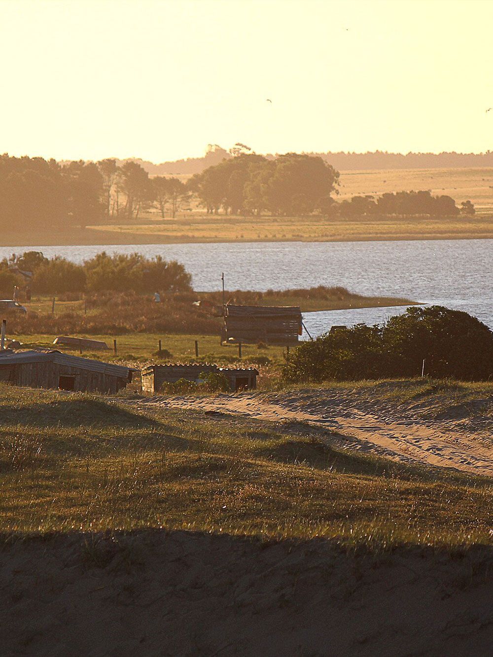 Paisaje costero al atardecer: lago, árboles a lo lejos, primer plano cubierto de hierba, luz cálida.