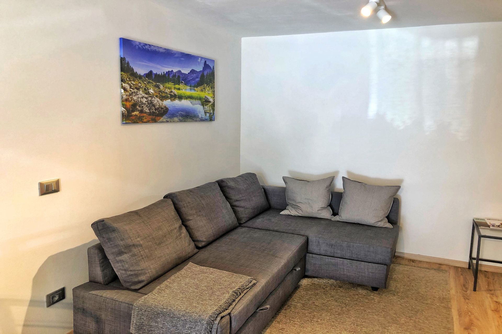 Un soggiorno con un divano e un quadro alla parete.