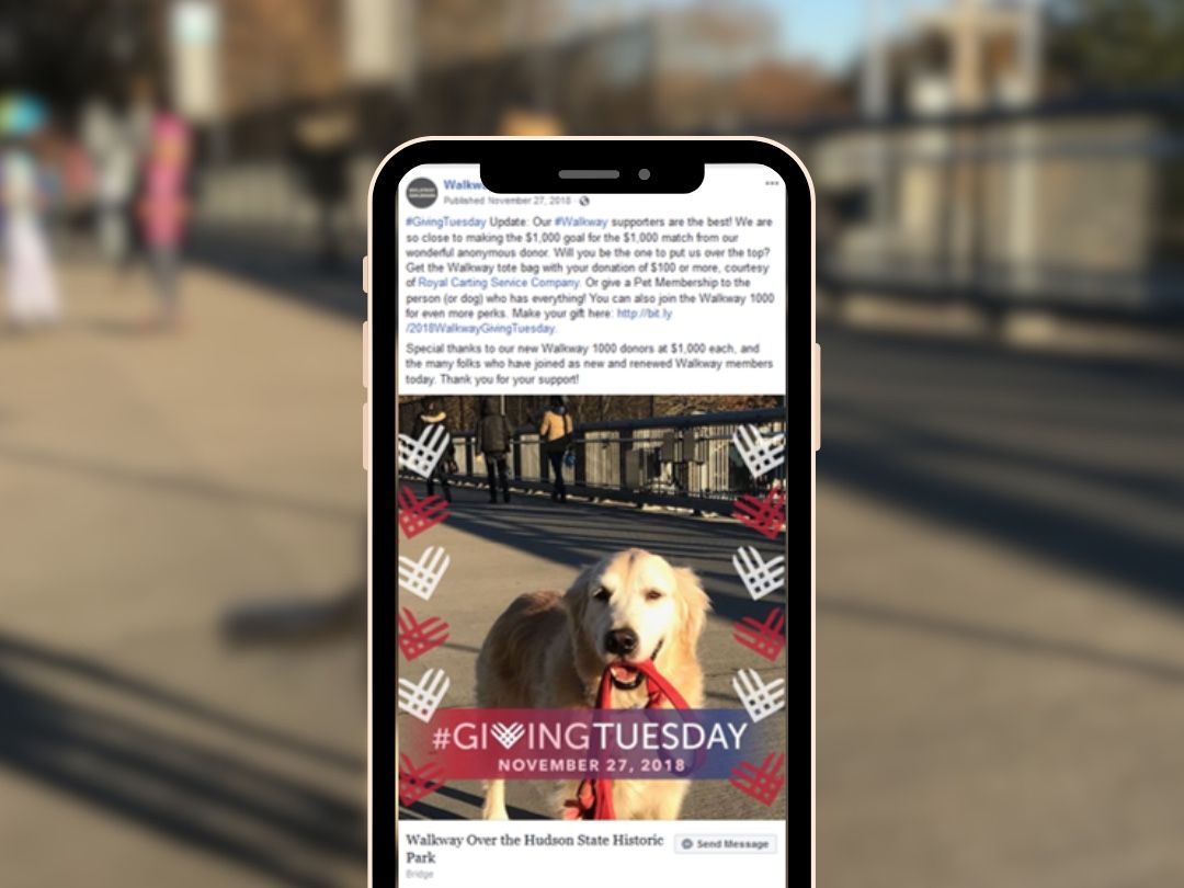 A laptop , tablet , and cell phone with green check marks on them.