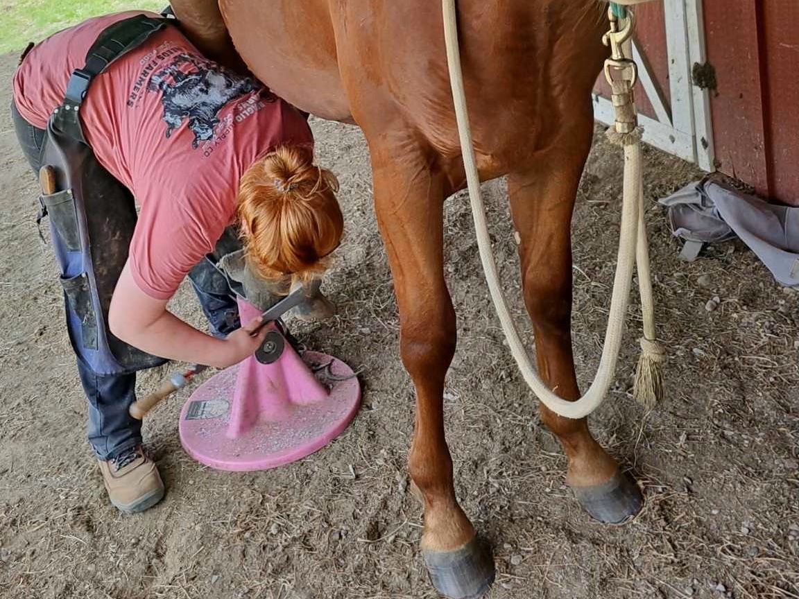 A group of people are sitting around a table looking at a pie chart.