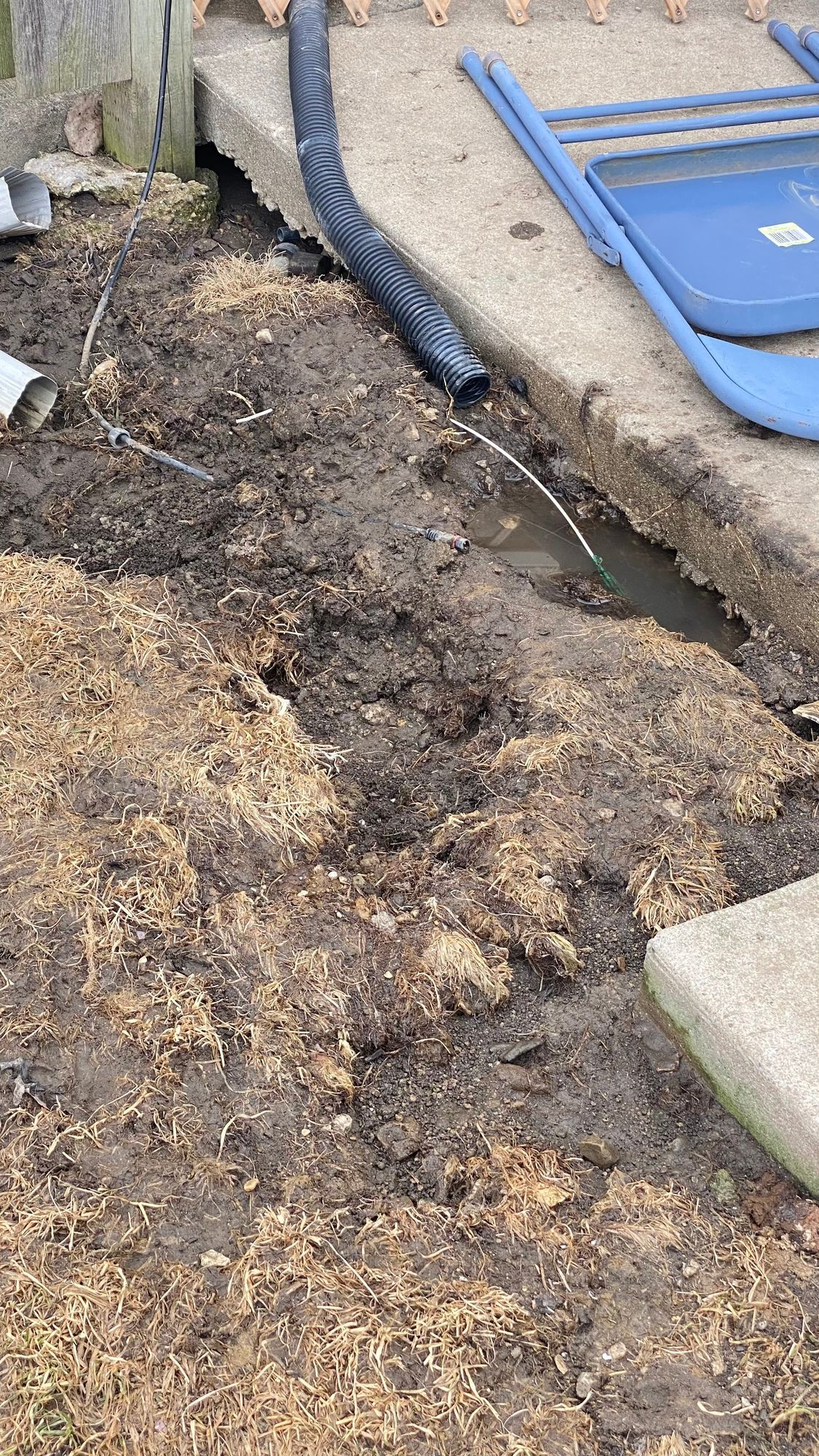 A hose is coming out of a hole in the ground.