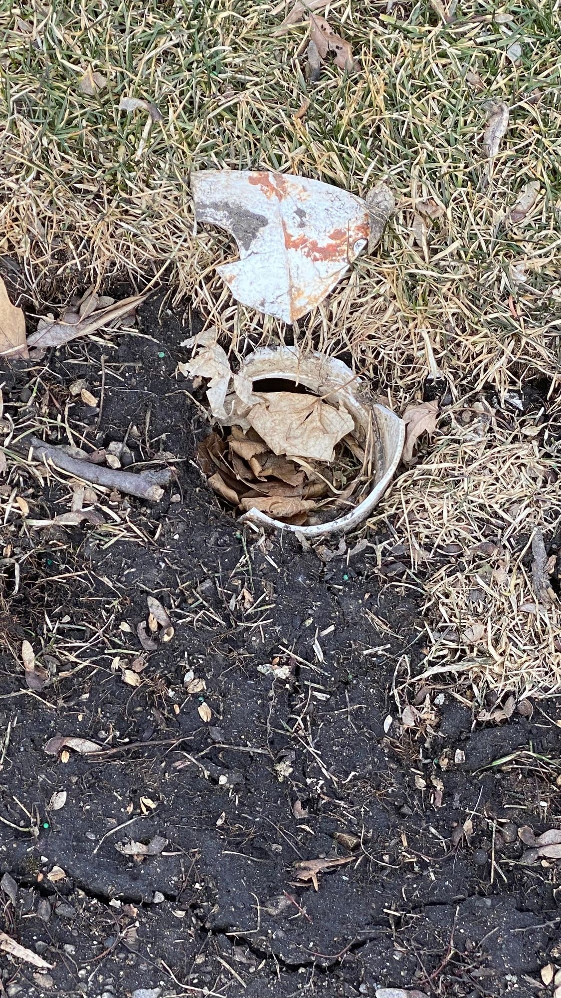 A bowl of food is sitting on top of a pile of dirt.