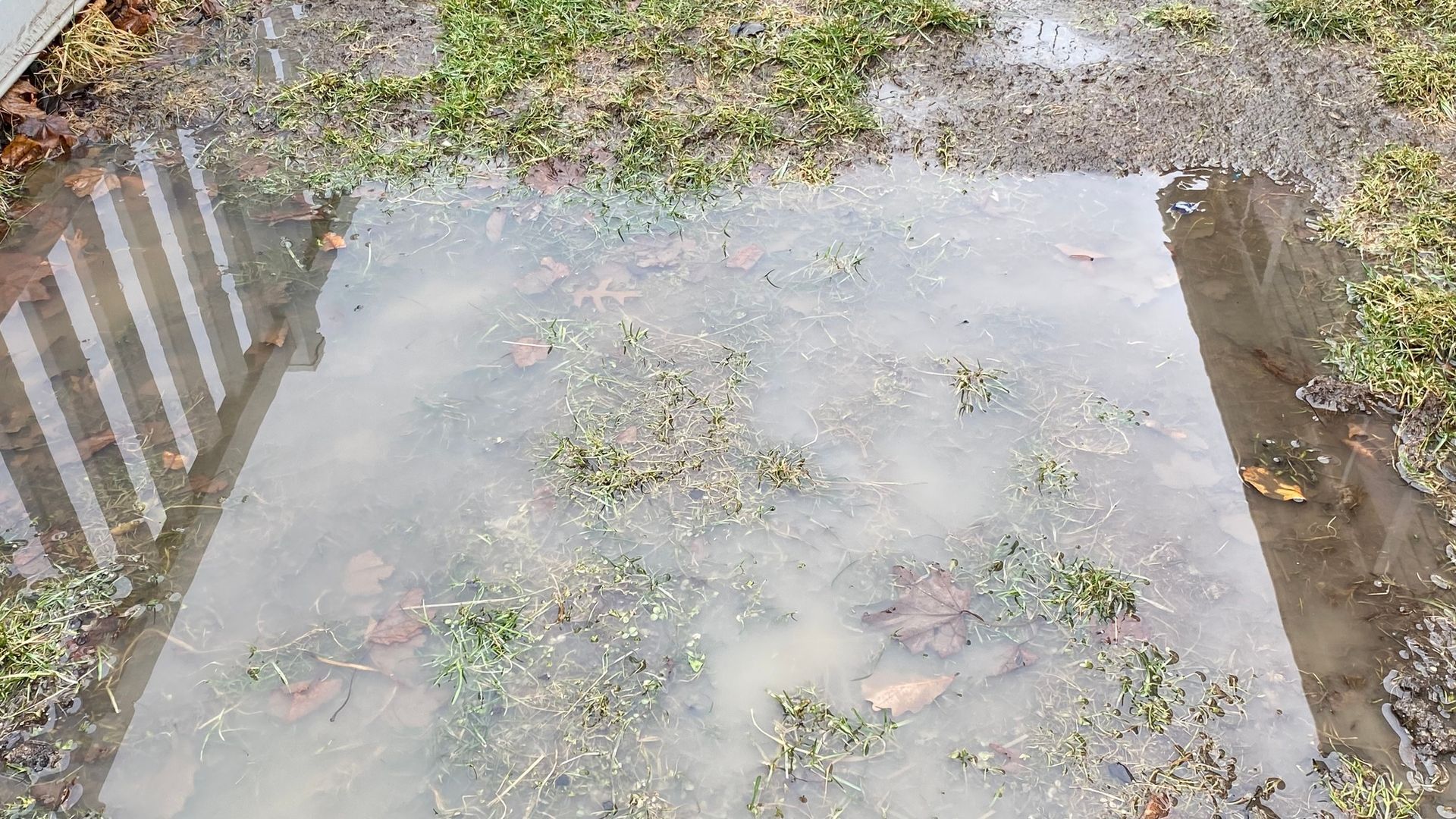 A puddle of water with a reflection of a fence in it.
