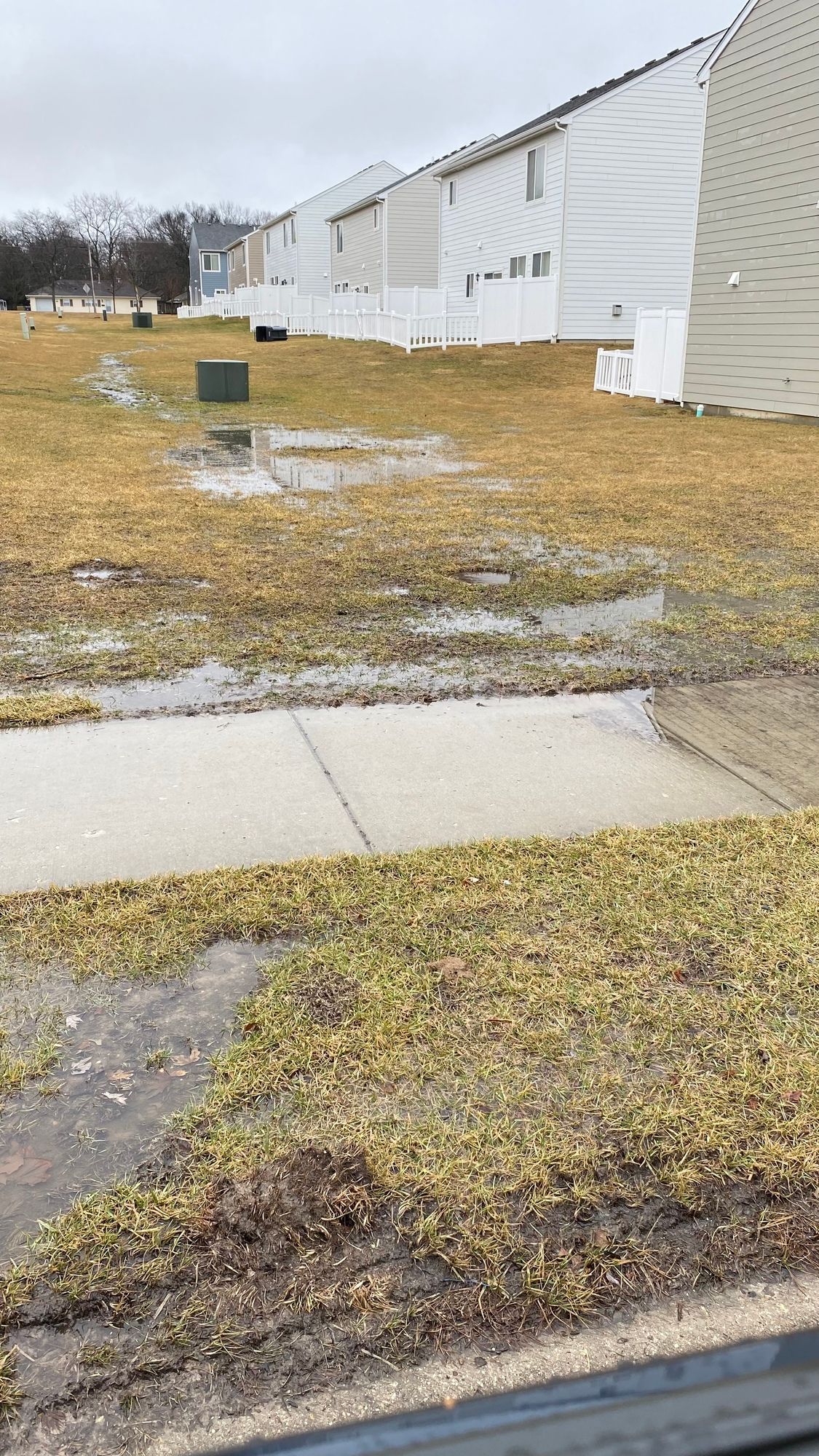 A muddy yard with a sidewalk and houses in the background.