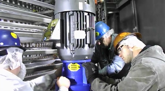 A group of men are working on a machine in a factory – USA - Regal Construction Inc.