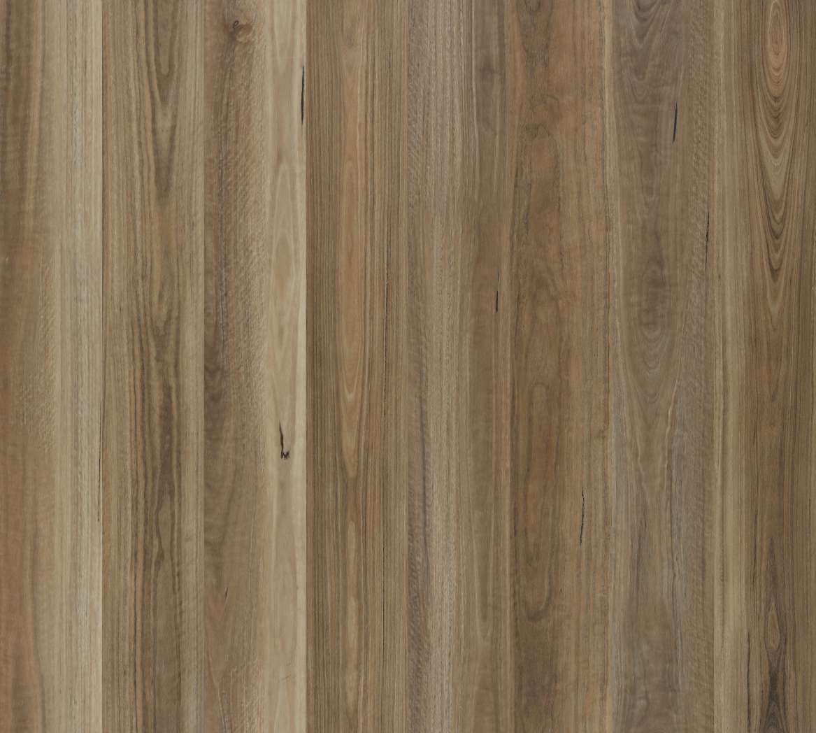 Spotted Gum Hybrid Flooring