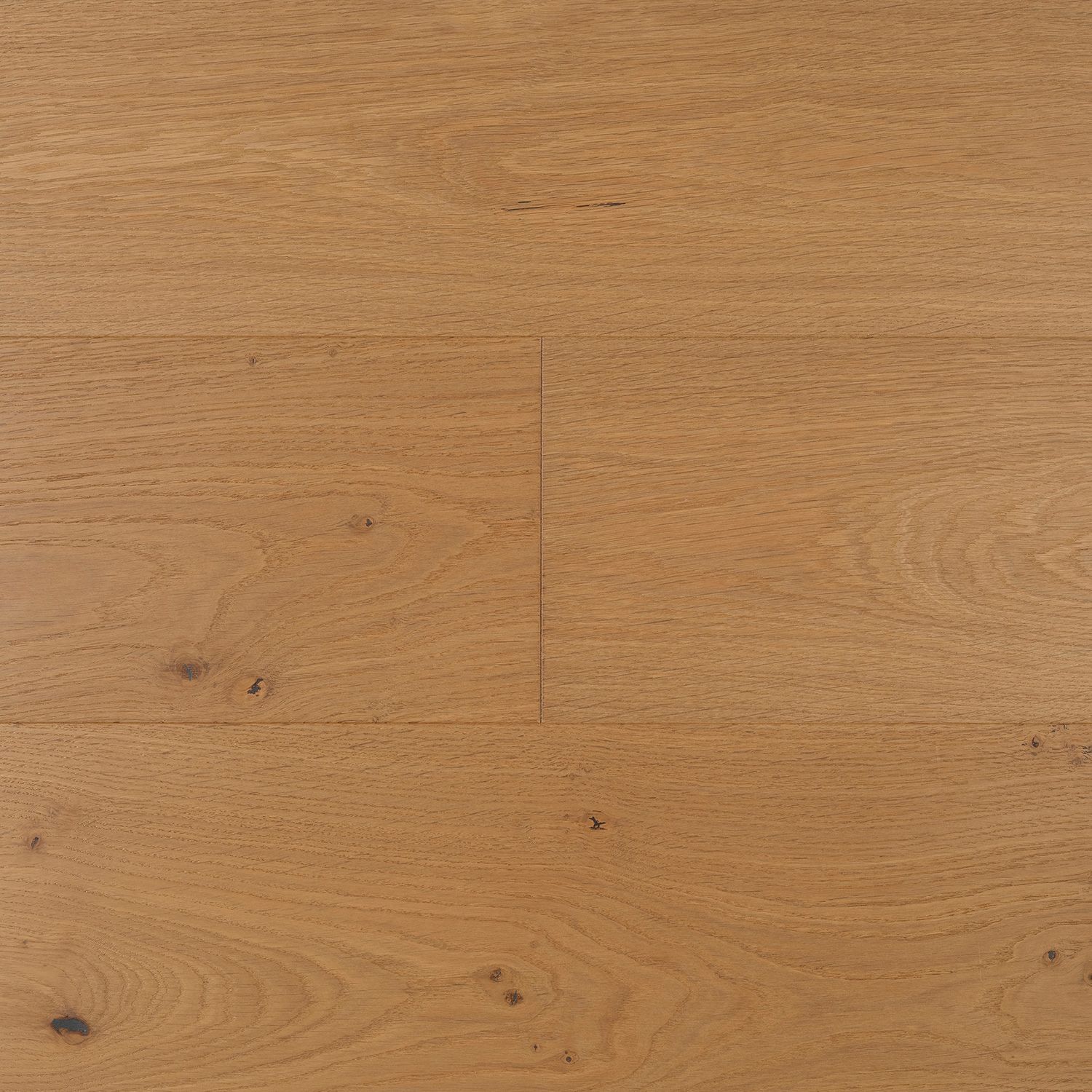 Desert Oak Colour