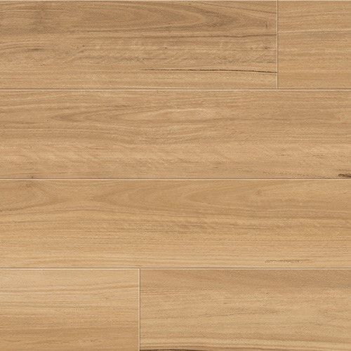 Coastal Blackbutt Colour