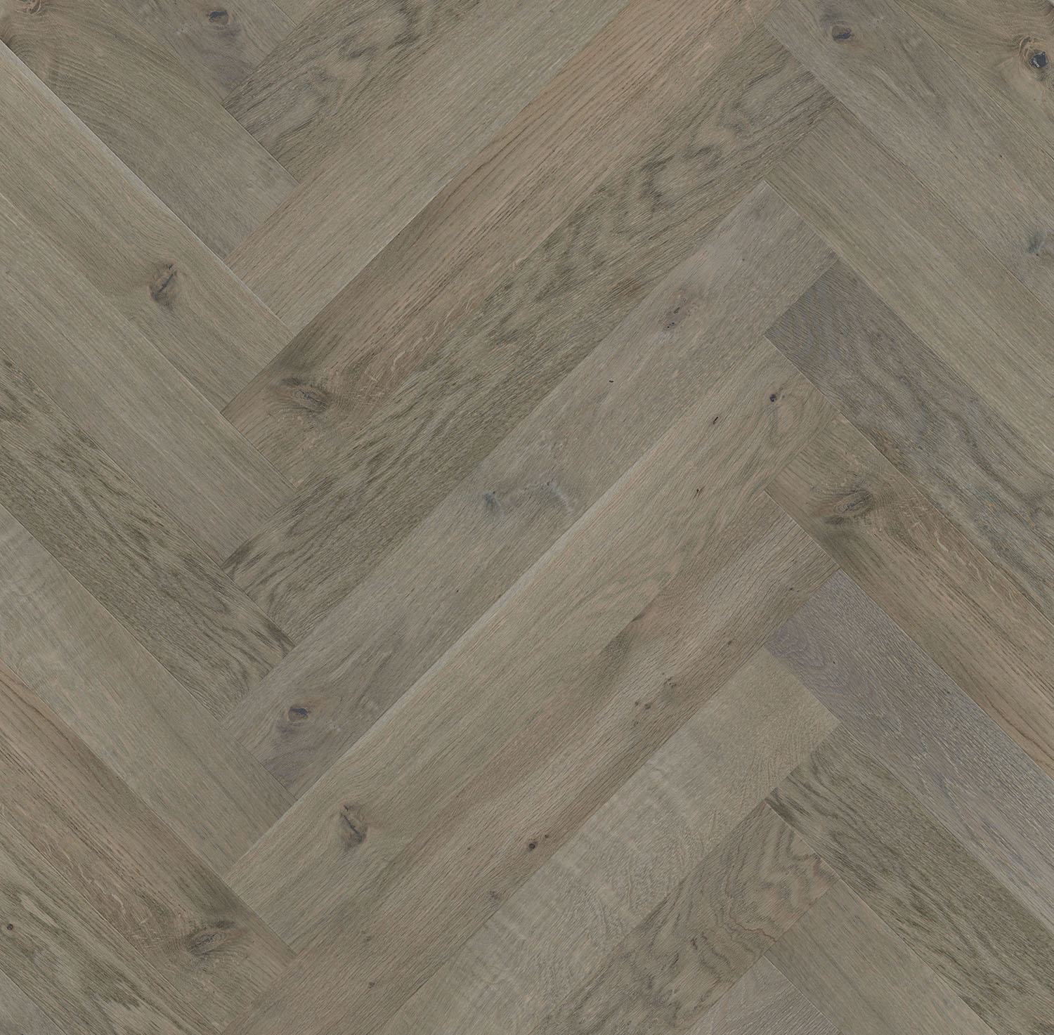 Engineered Oak adore ash