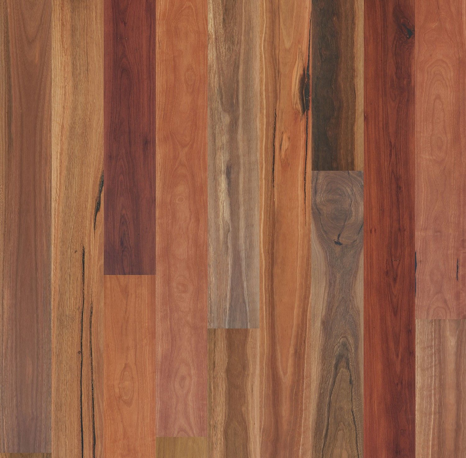 Floor Art spotted gum rustic