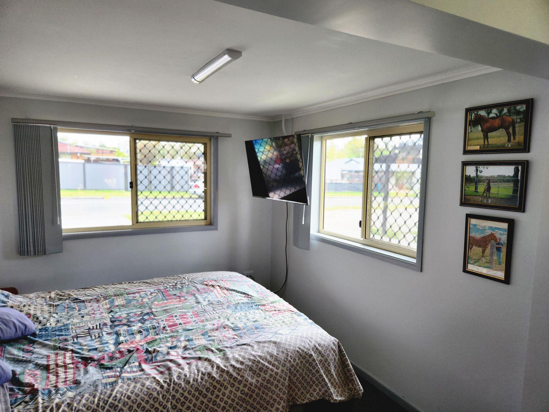 Bedroom with bed, windows, mounted TV, and framed horse artwork.