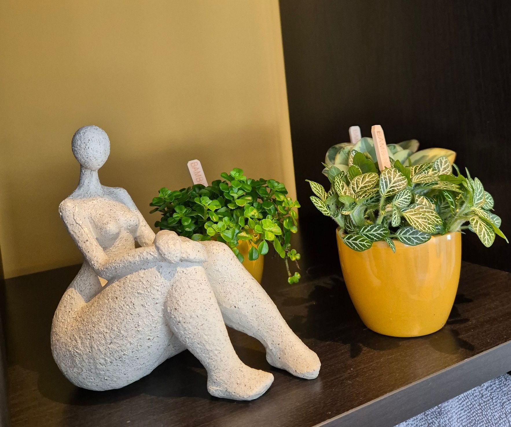 Lipoedeembeeld Michelle Massagetherapie