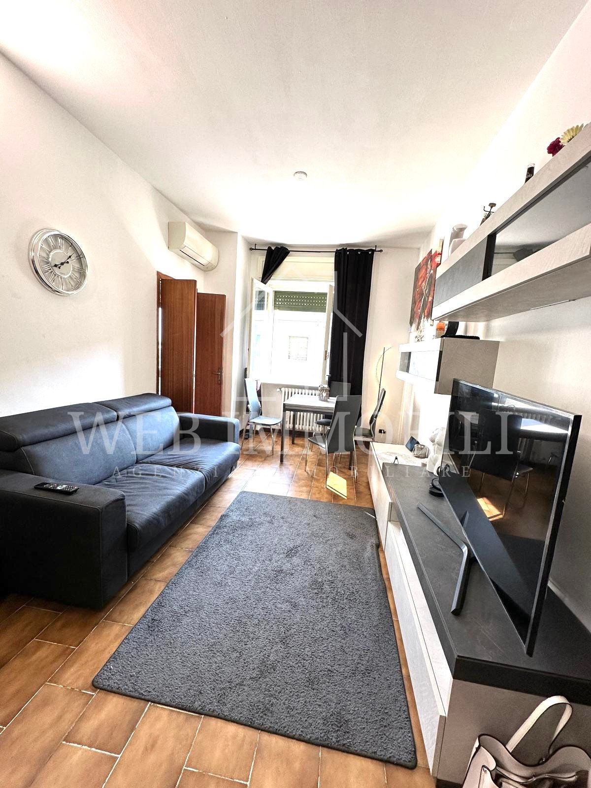 Soggiorno con divano grigio, TV, tappeto e pavimento in legno.