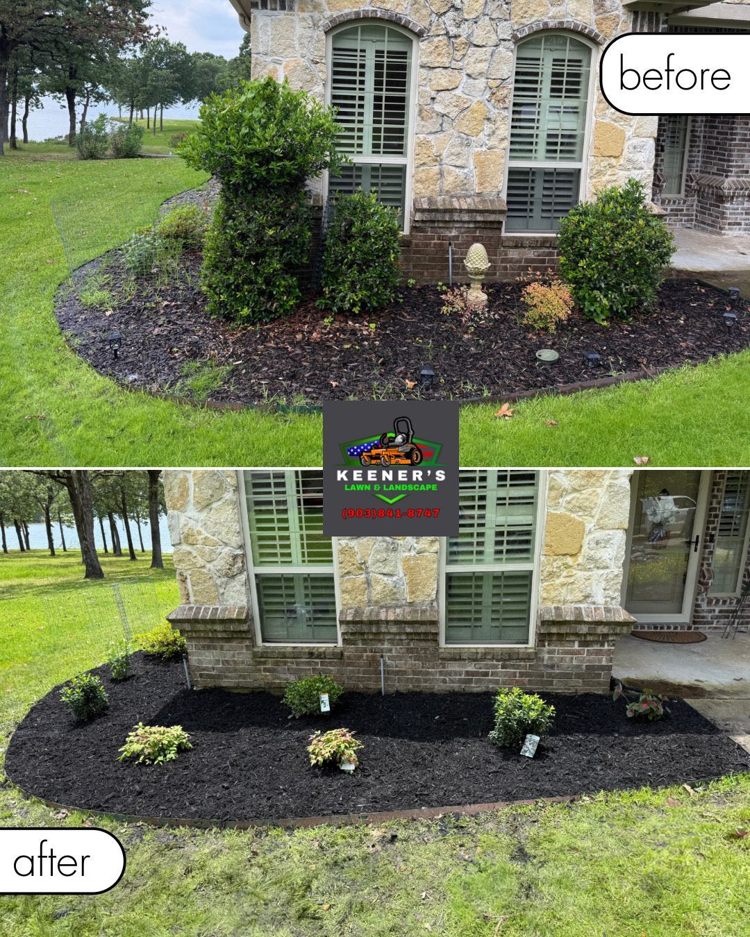 Before and after of landscaping with black mulch around a home's flower beds.