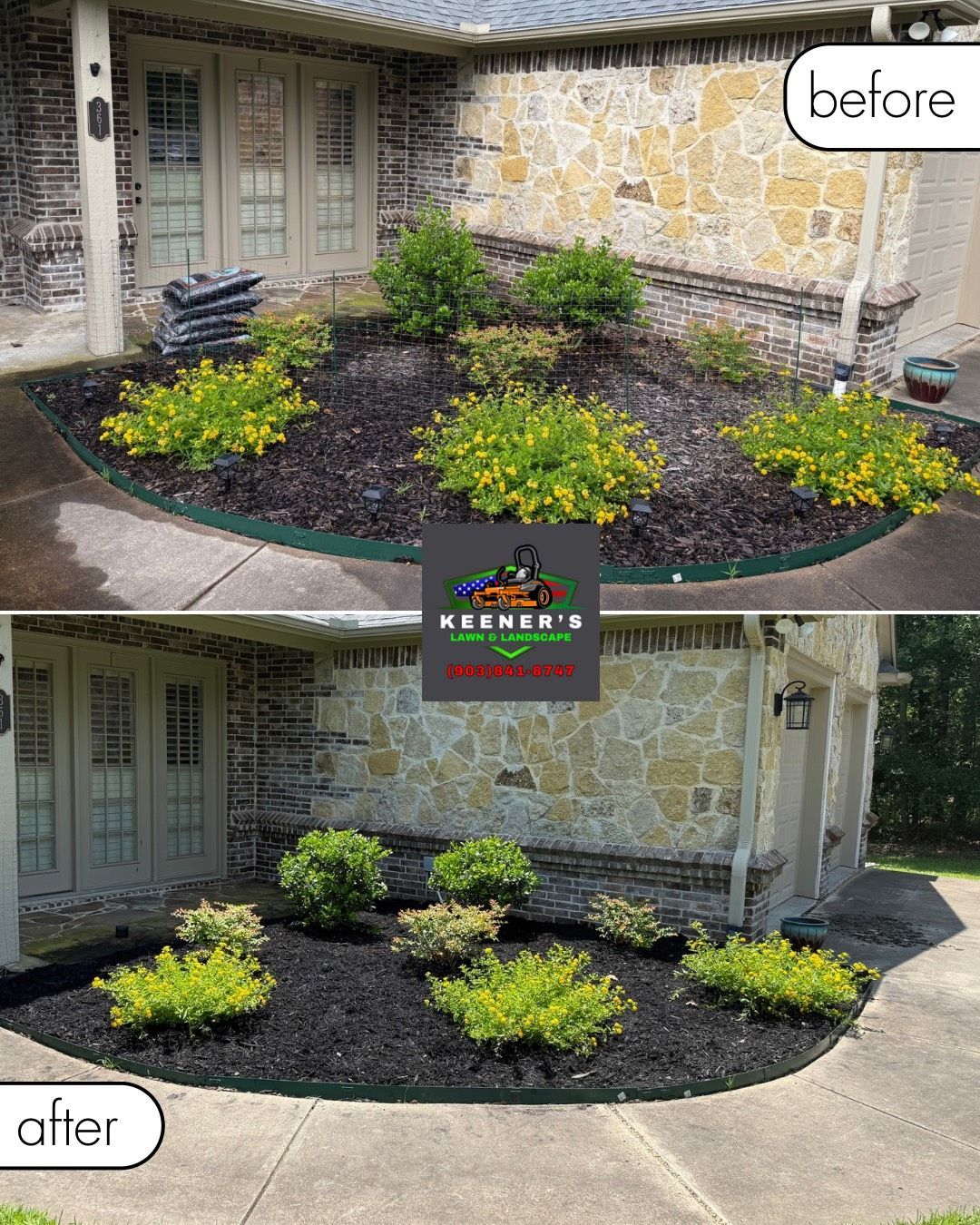 Before and after comparison of a landscaping project with fresh black mulch and trimmed bushes.