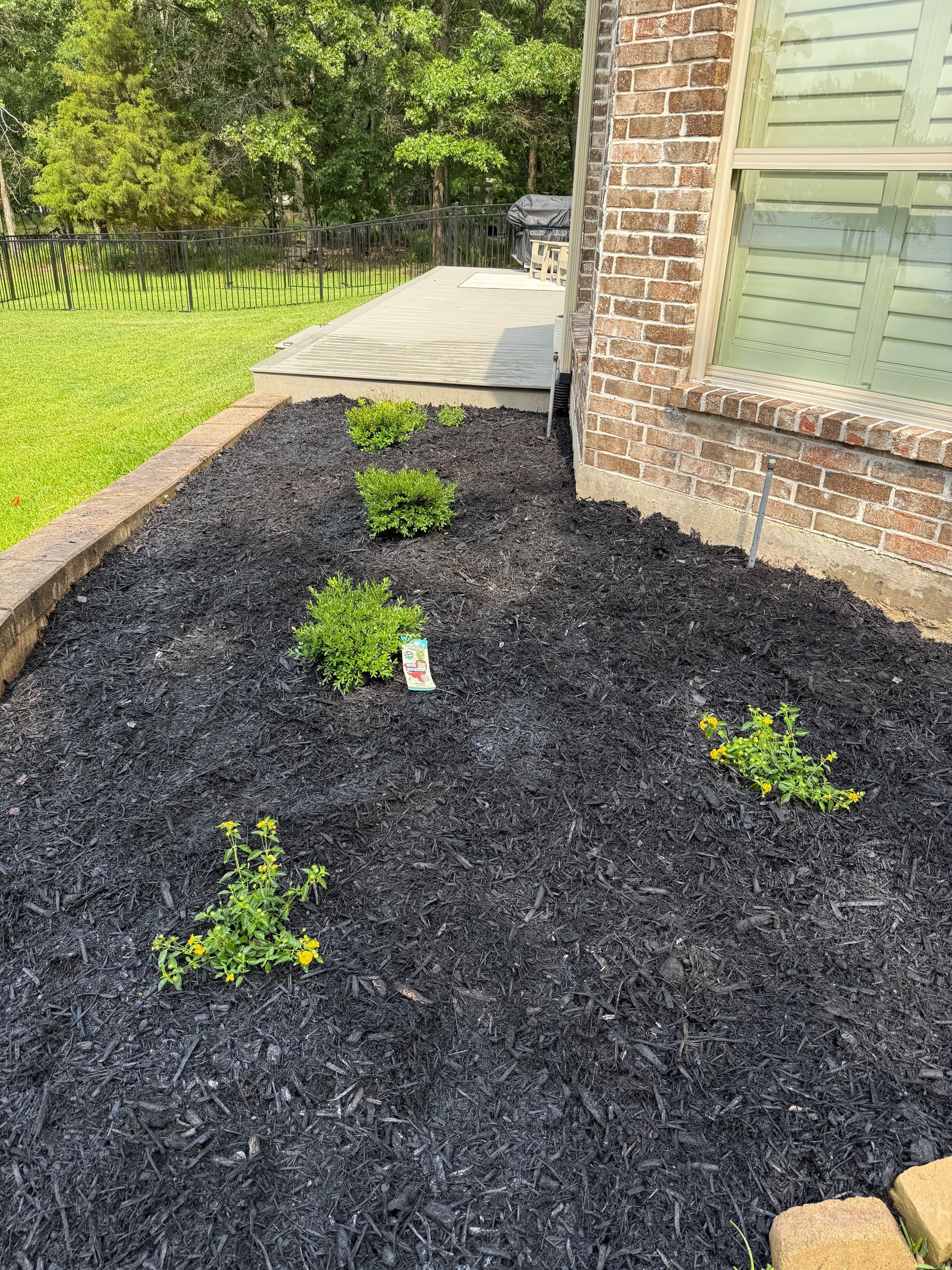 A bed of black mulch with green plants in front of a brick building.