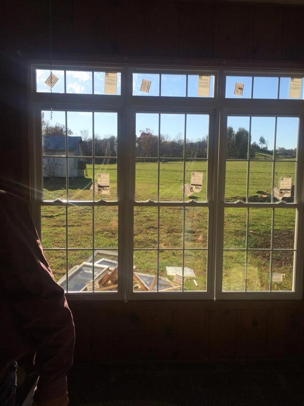 Changing window — Siding in Elizabethton, TN