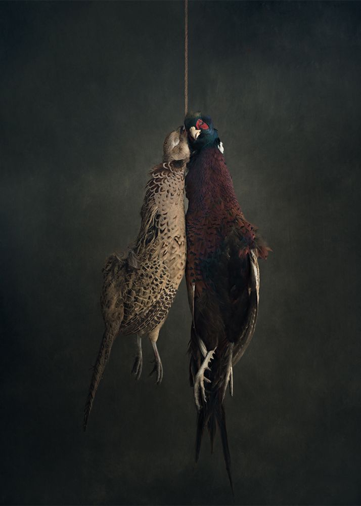 Fine Art Print (24 inches)