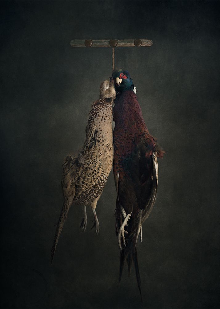 Custom close up fine art photo portrait photography adapted to your specific brief, in this case a personal profile head shot