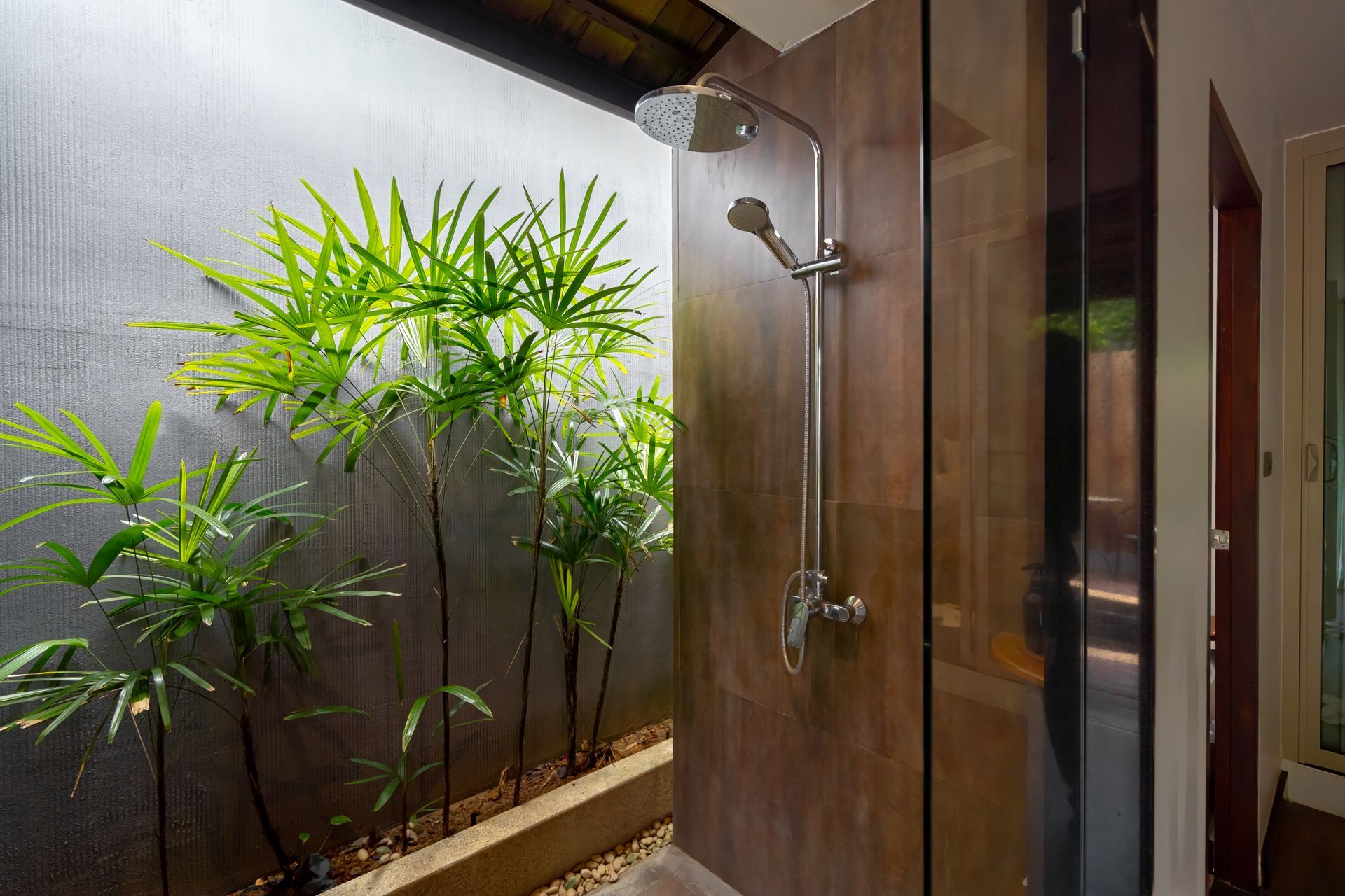 A bathroom with a shower and plants in the corner.