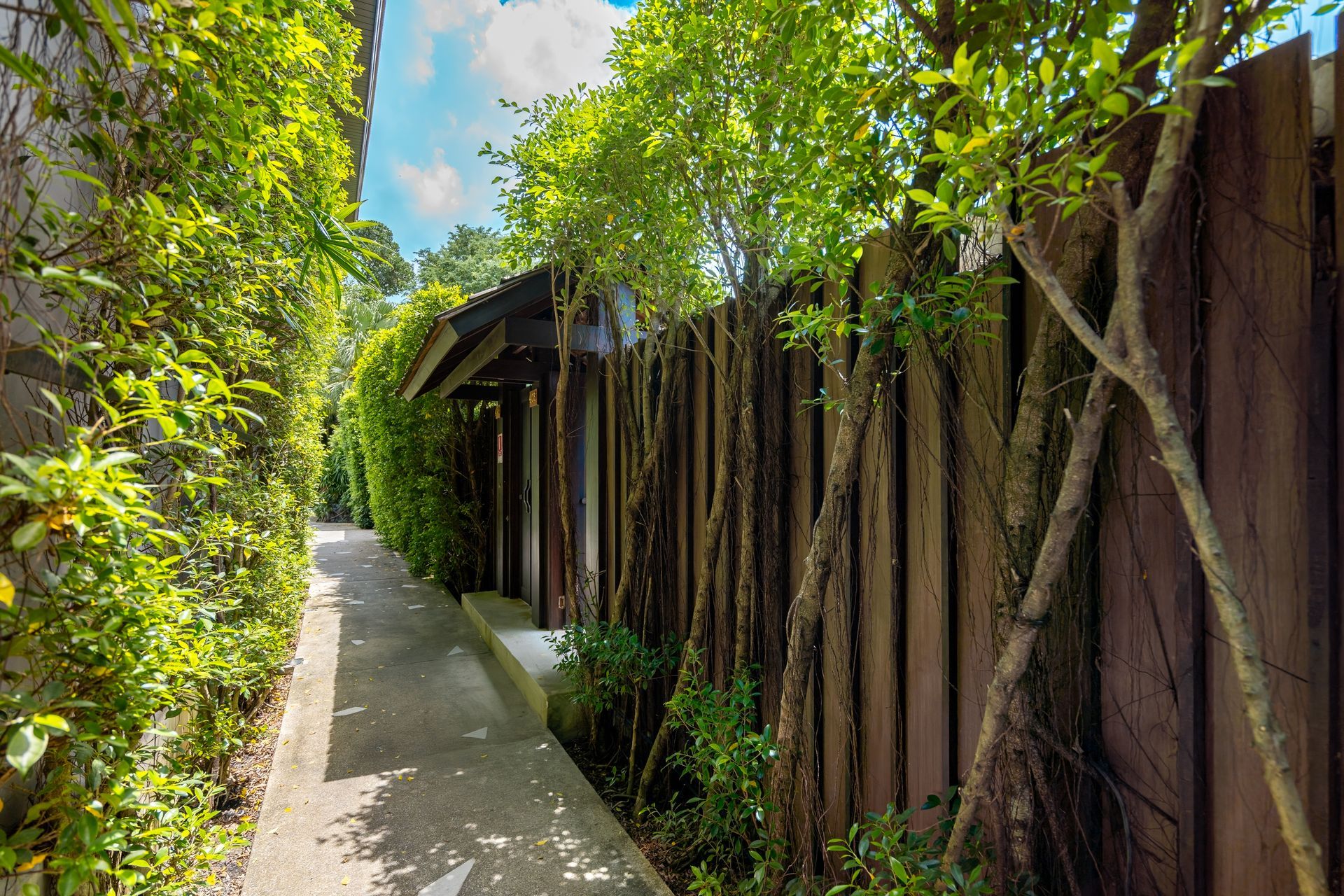 A wooden fence surrounds a path leading to a house.