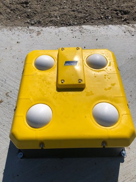 Yellow rectangular ground cover with four white dome-shaped bumps and a central rectangular access panel.