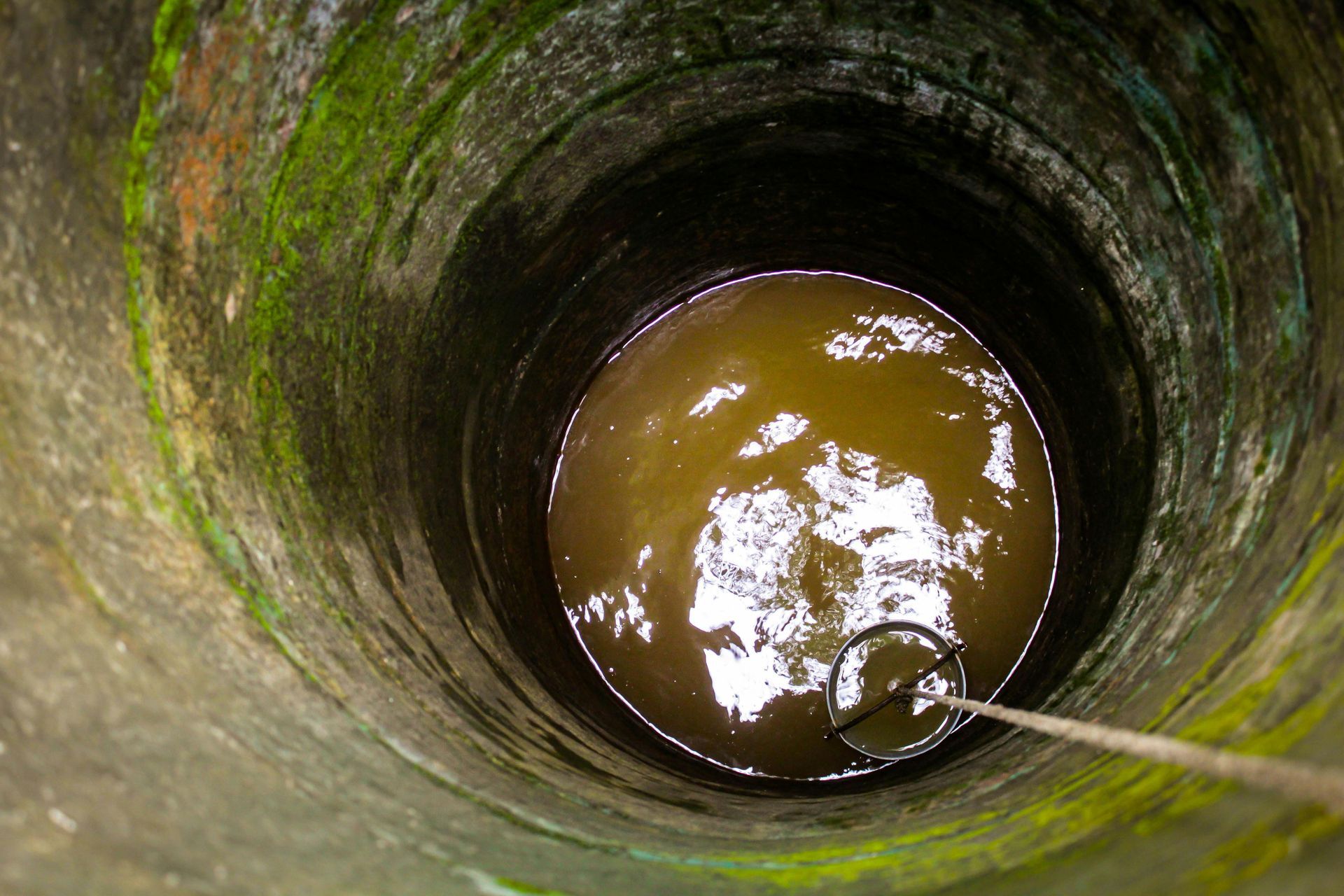 Looking down into a deep, mossy well filled with murky water; rope and net visible.