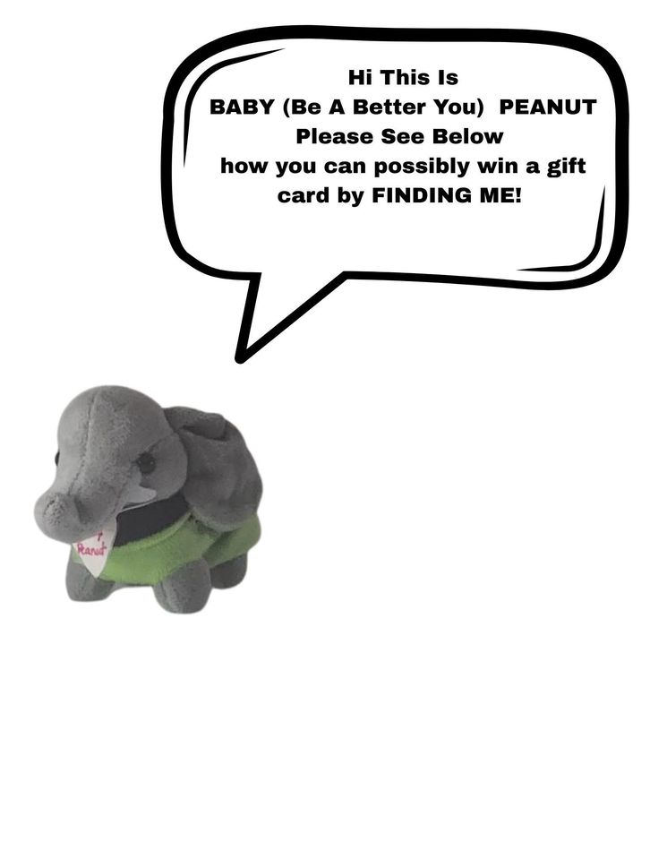 A plush turtle,