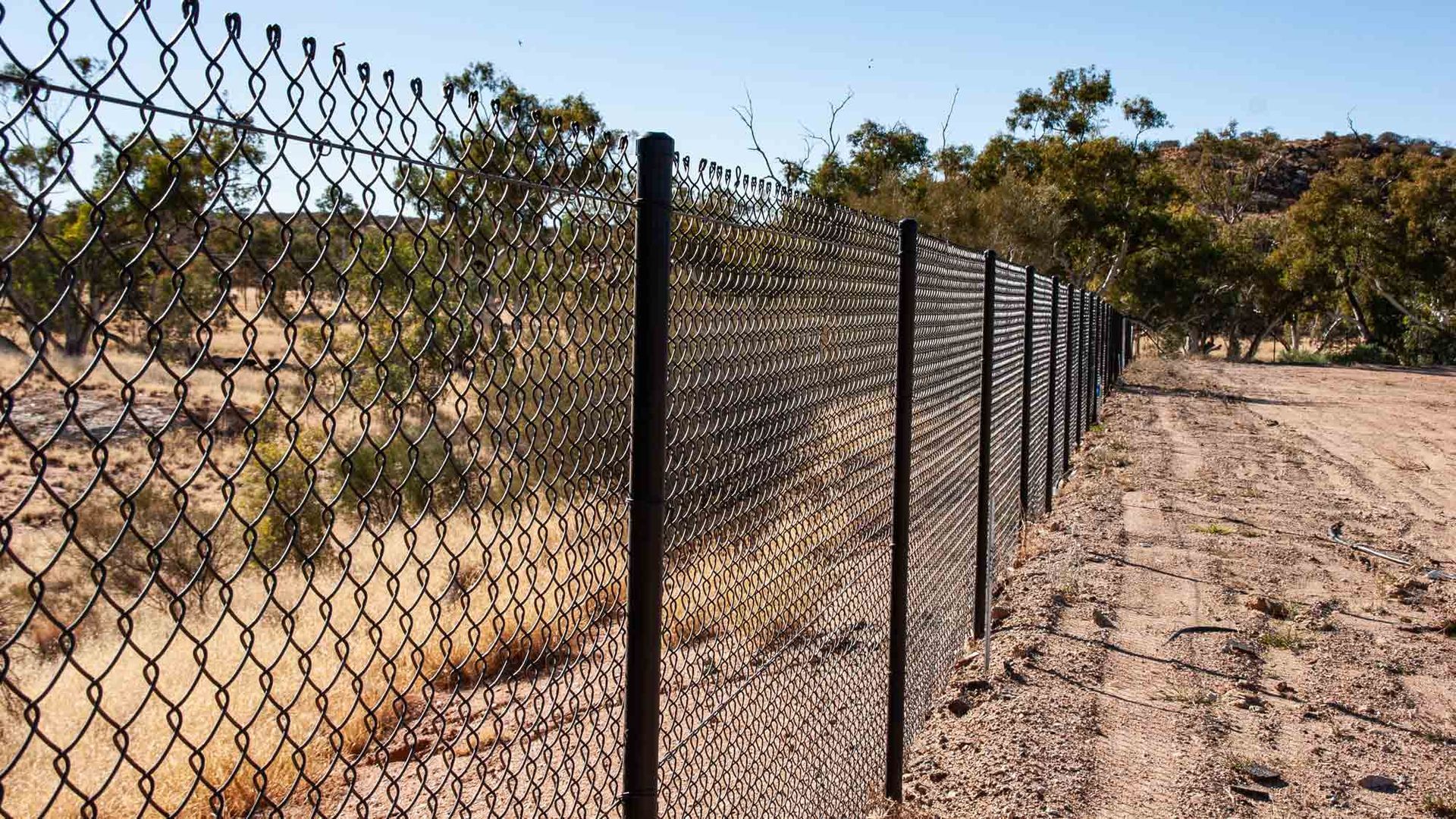Chain wire fencing | Roseworthy, SA | Bazza's Fencing