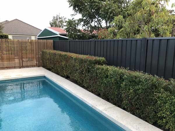A pool next to a black fence | Roseworthy, SA | Bazza's Fencing