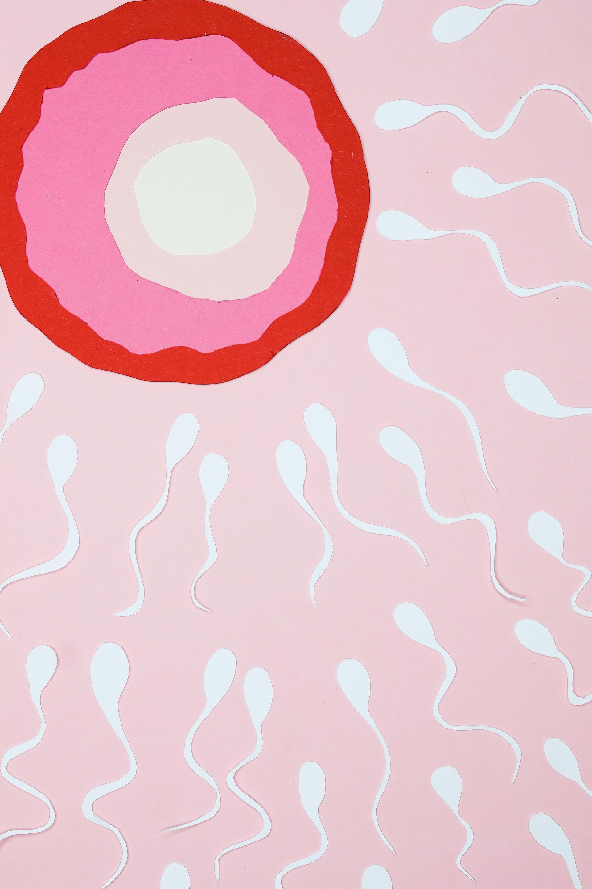 A pink background with a red circle and white swirls
