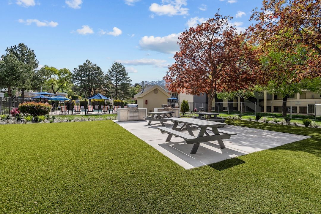 Campus courtyard with picnic tables, green lawn, trees, and a building under a blue sky