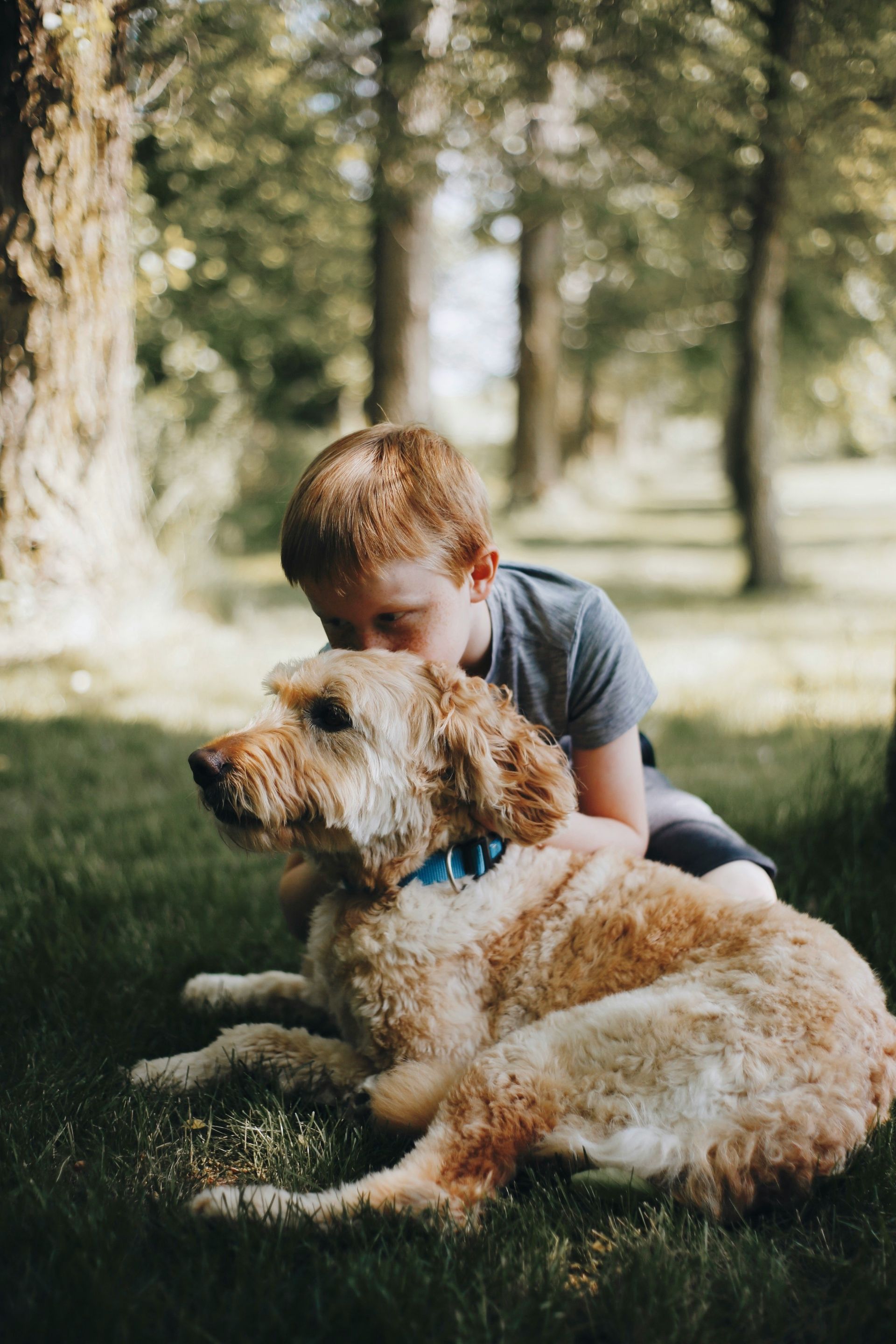 A young boy is kneeling down next to a dog in the grass.