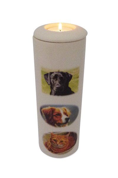 Pet cremation urn