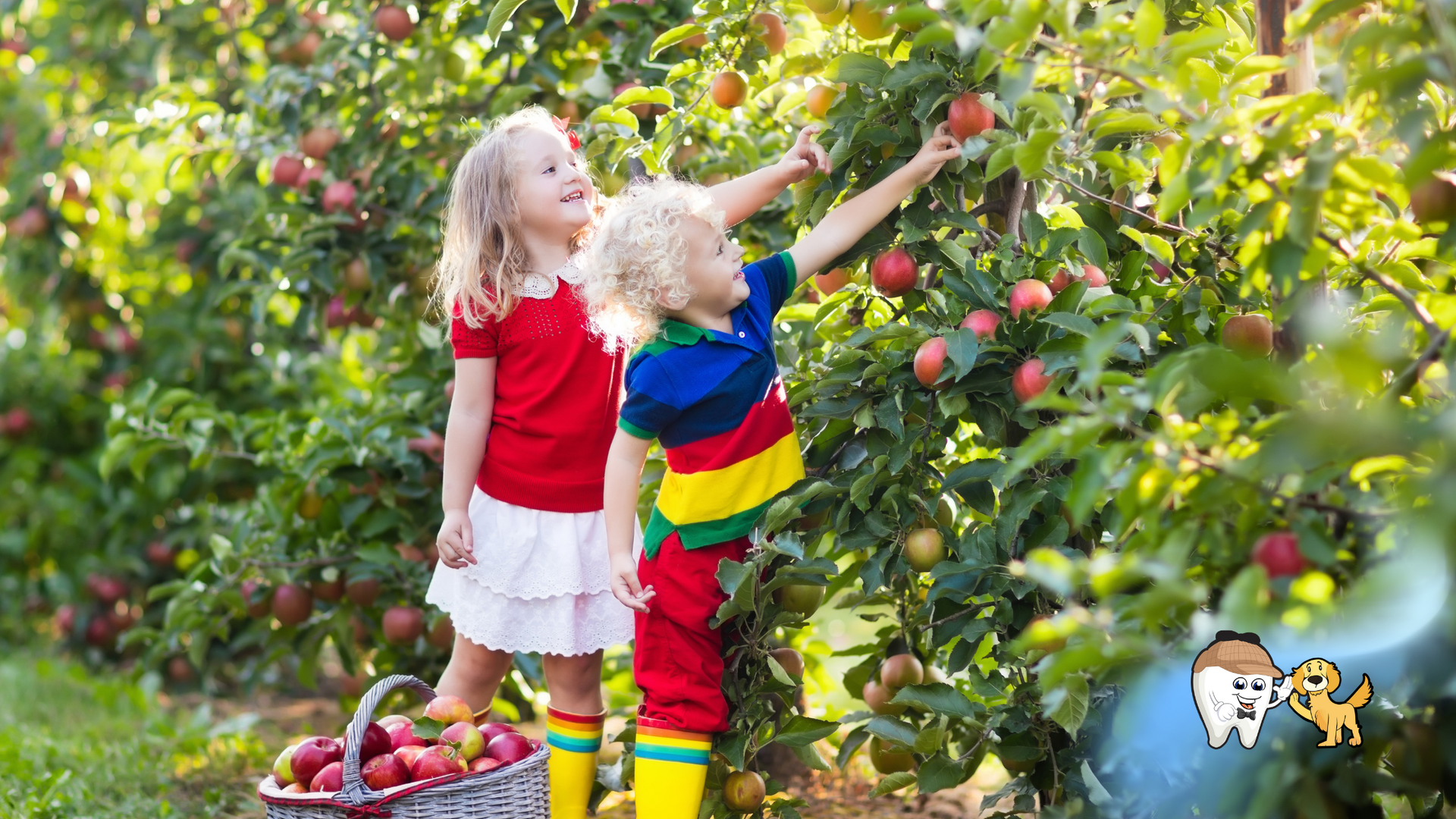 Two children picking apples from a tree, one reaches, the other smiles. Red, white, blue, yellow clothing. Apple orchard.