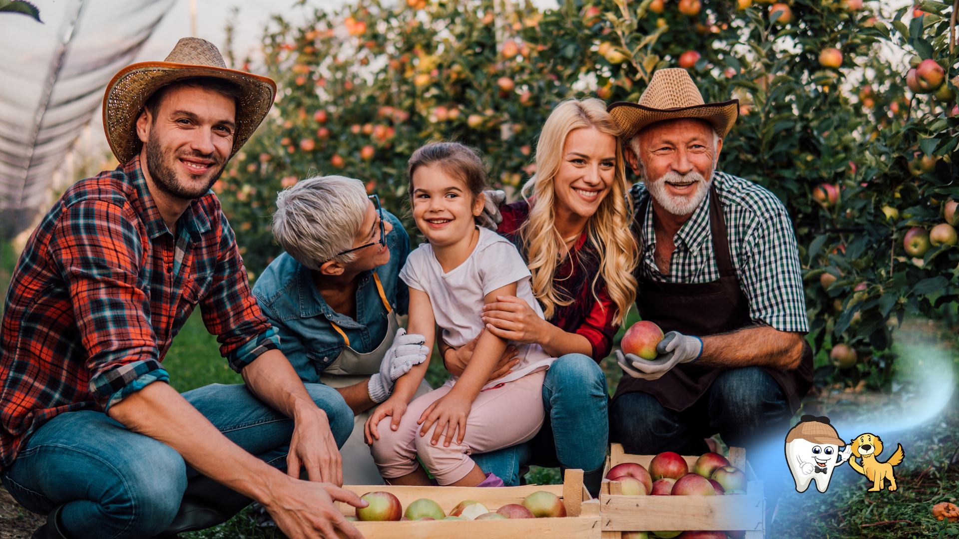 Family in an apple orchard, smiling. Apples in wooden crates.