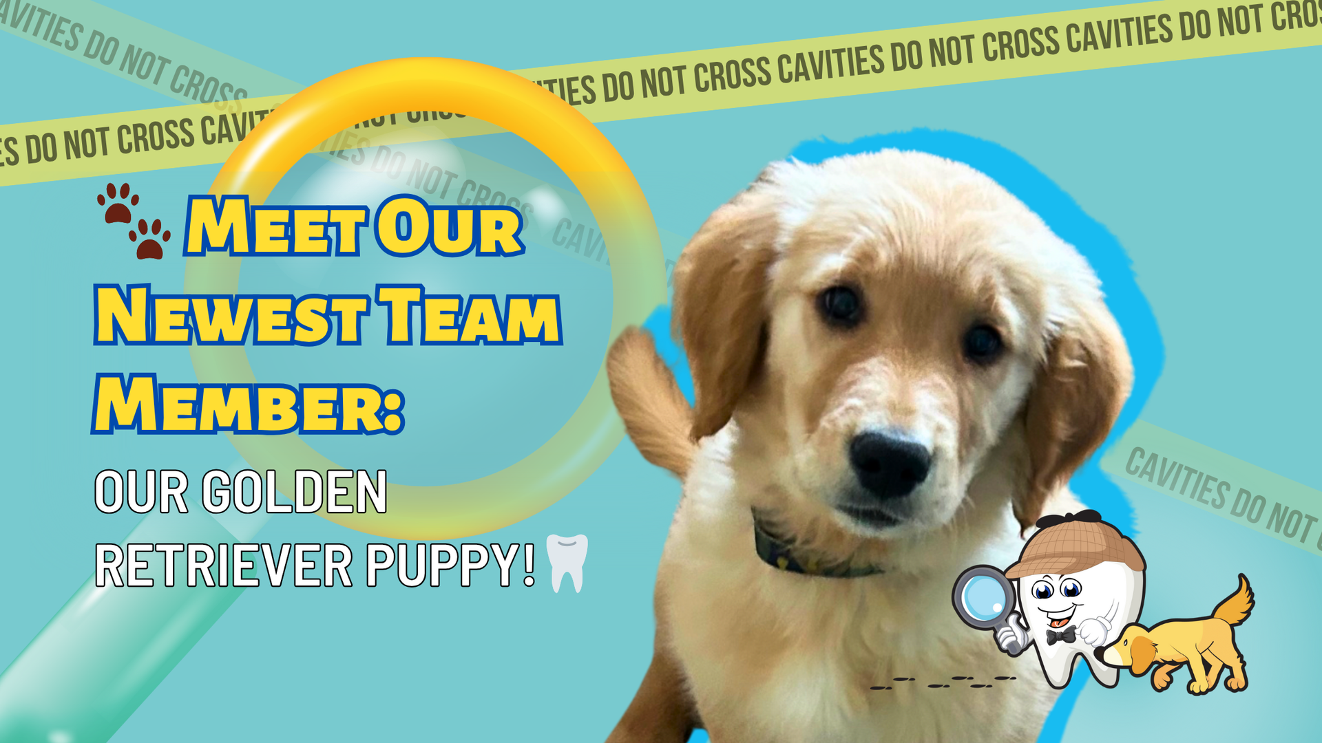 A picture of a dog with the words meet our newest team member