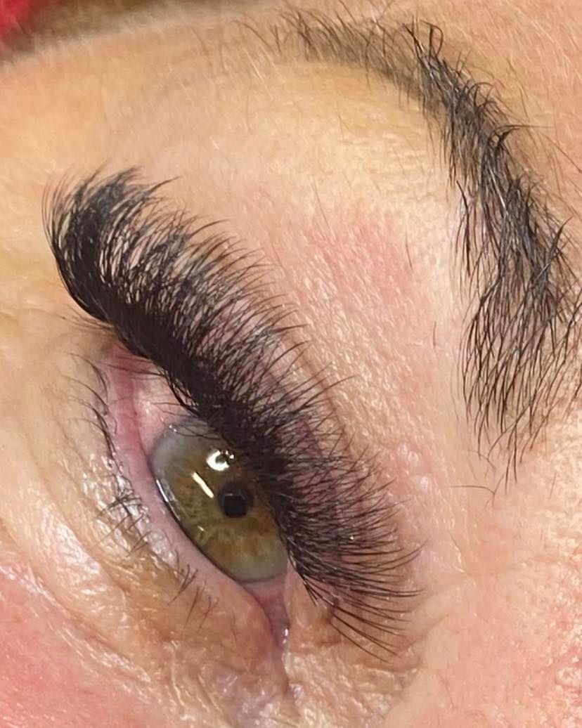 Close-up Of An Eye With Lush, Dark Lash Extensions And A Well-shaped Eyebrow — Penelope's Beauty in Raymond Terrace, NSW