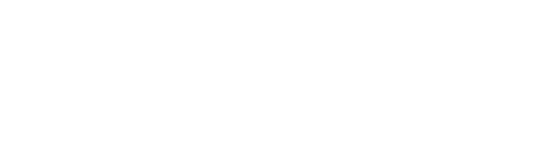 PMG Logo