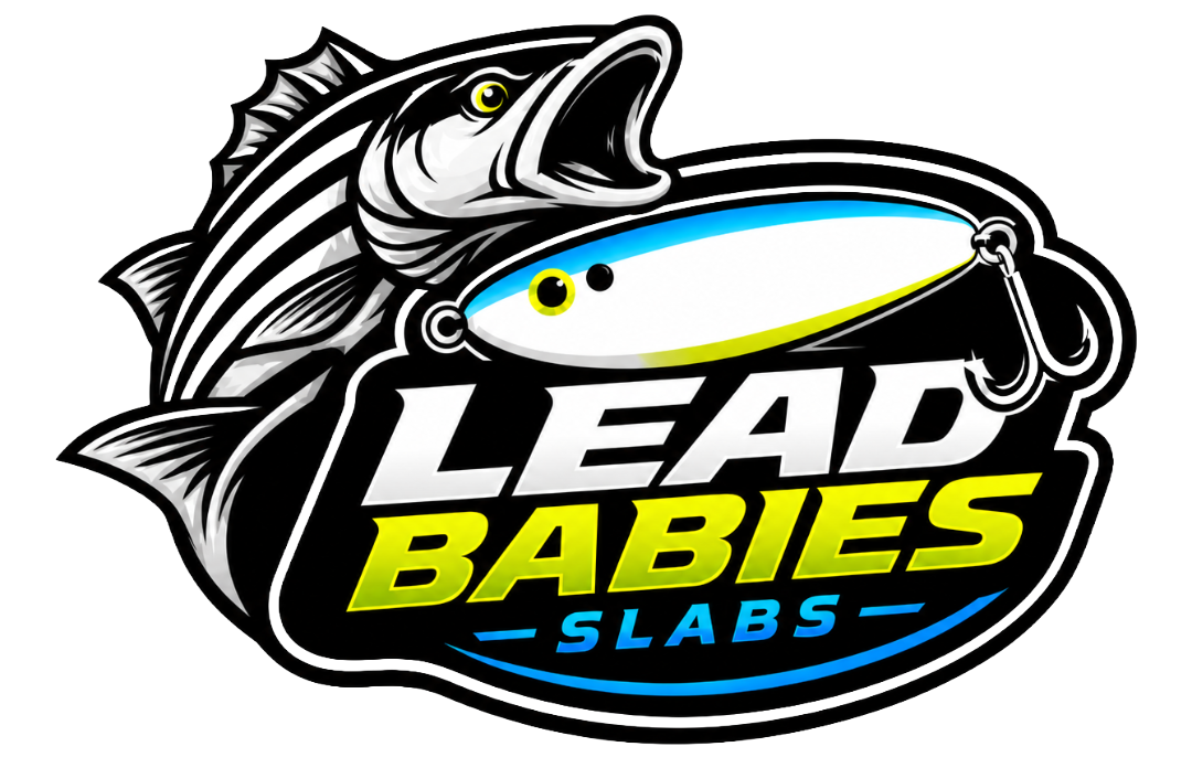 Lead Babies Slabs logo