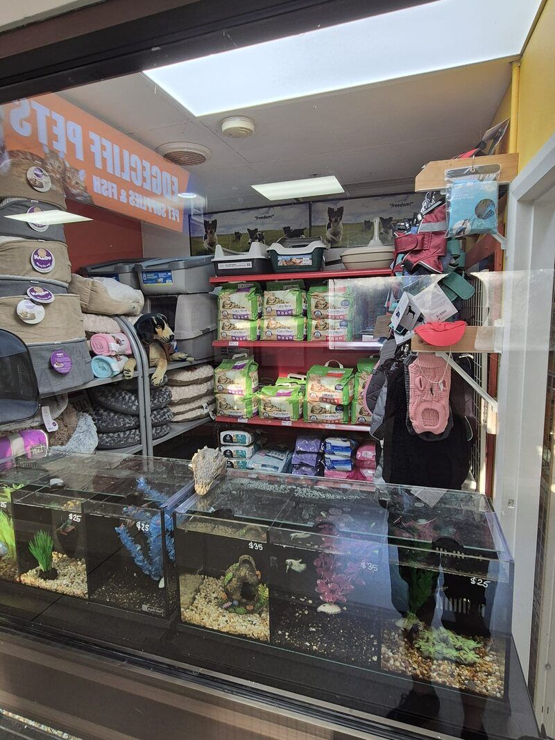 A store filled with lots of animals and supplies.