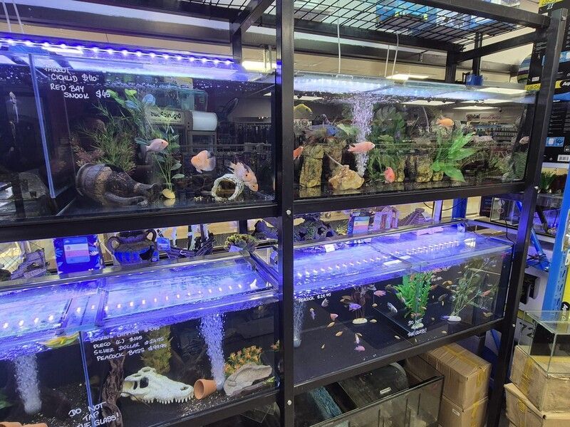 A store filled with lots of fish tanks and aquariums.