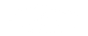 A white background with a few lines on it
