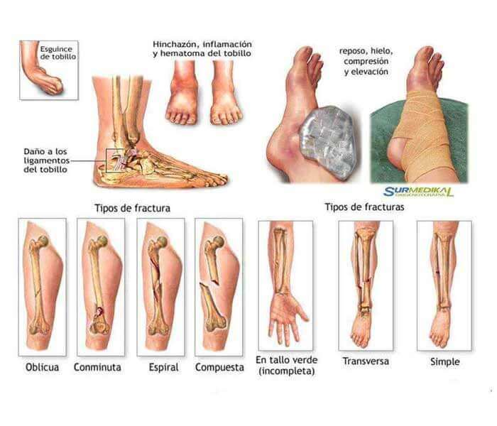 DRA. MARÍA ESTHER TREVIÑO A