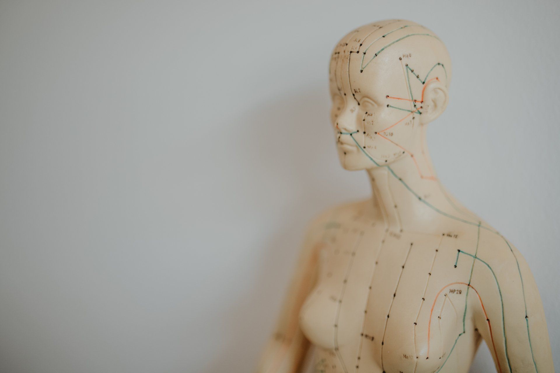 Eine Nahaufnahme einer Schaufensterpuppe mit Akupunkturpunkten.