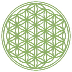 Ein grünes Muster mit der Blume des Lebens in einem Kreis auf weißem Hintergrund.