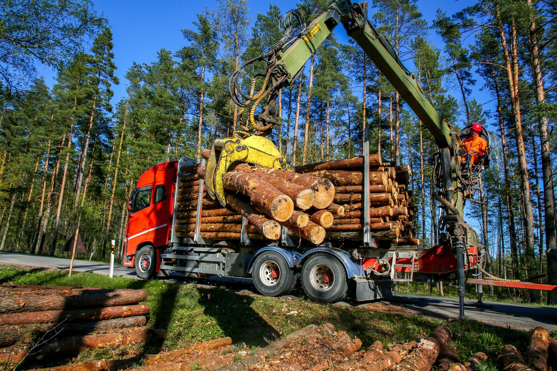 Logging equipment loading logs.