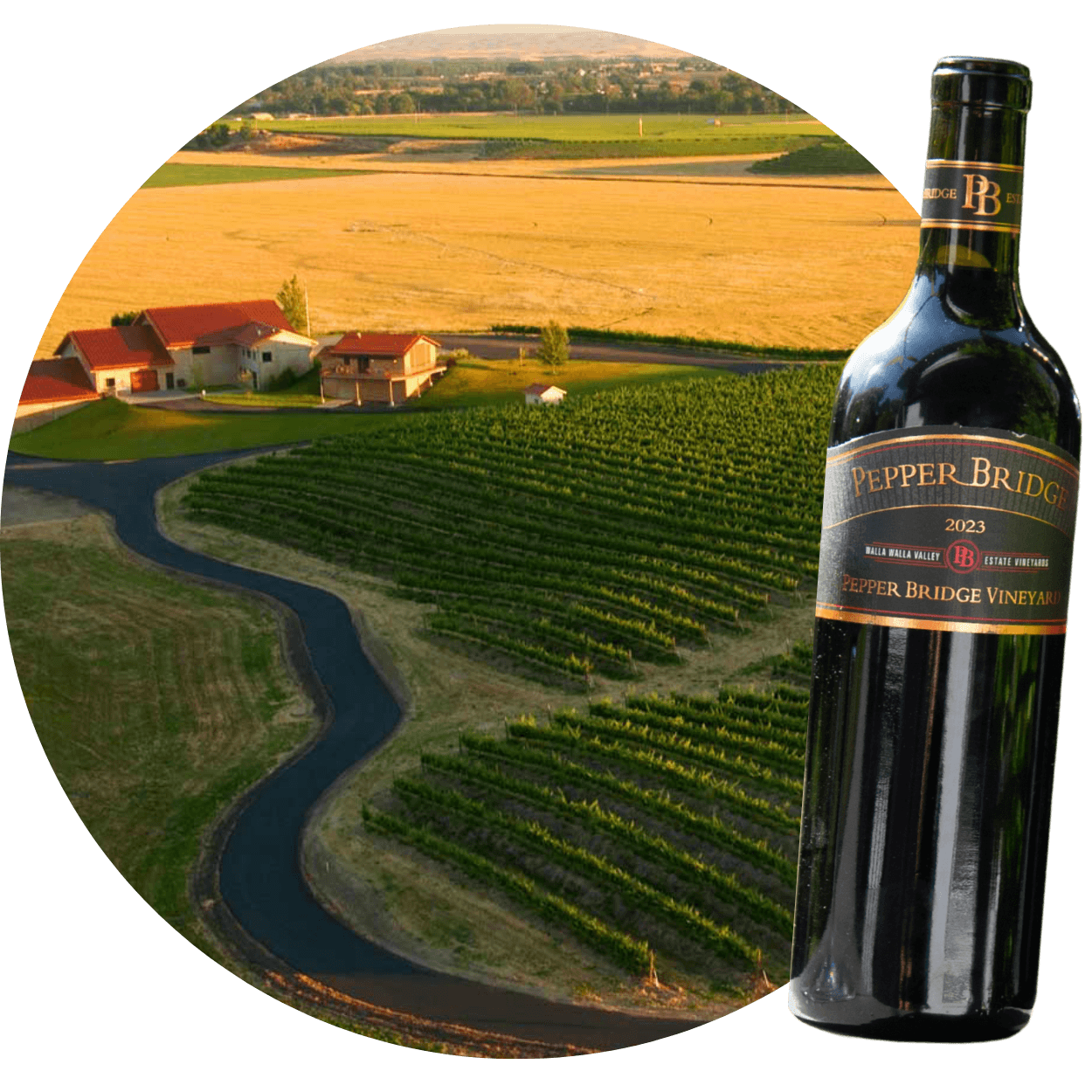 Pepper Bridge Vineyard