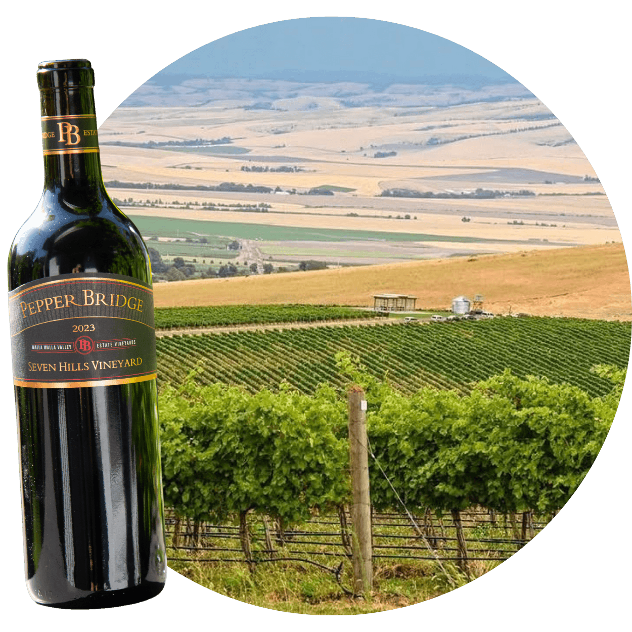 Seven Hills Vineyard